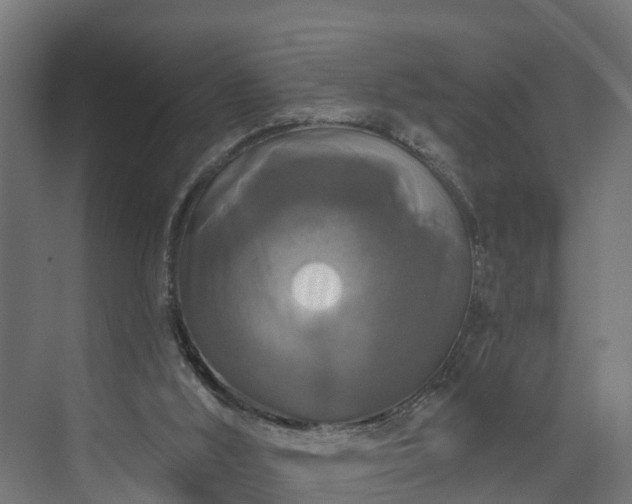 X0000074010012200608281417