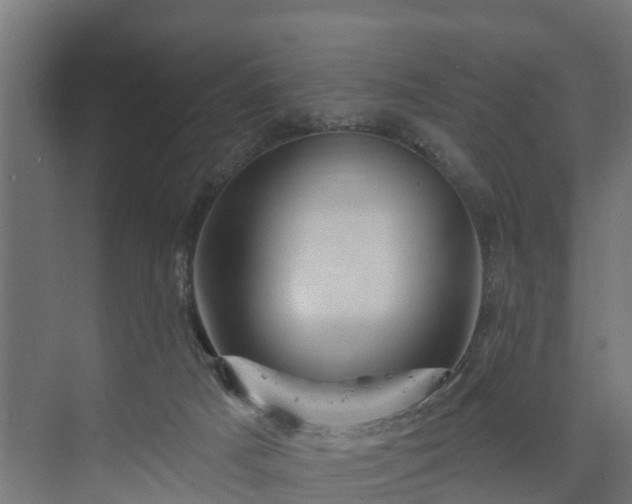 X0000074010025200608281417