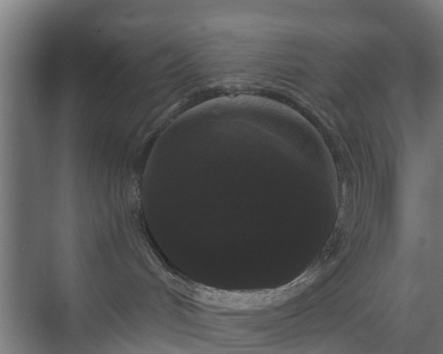 X0000074010048200608281417