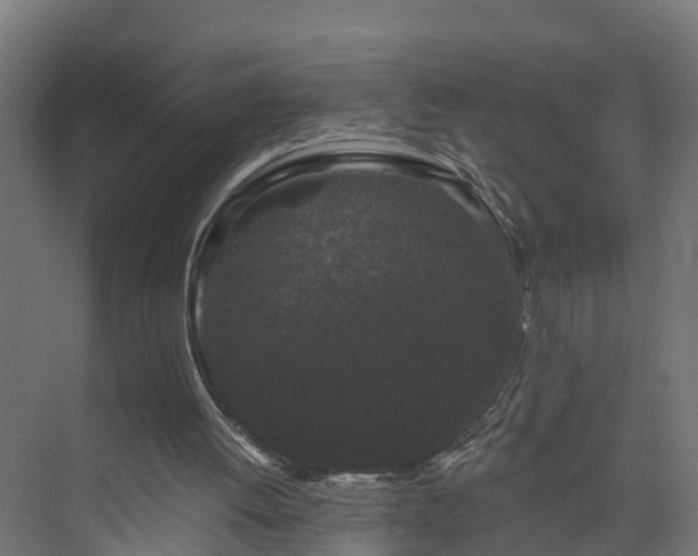 X0000074010052200608281416
