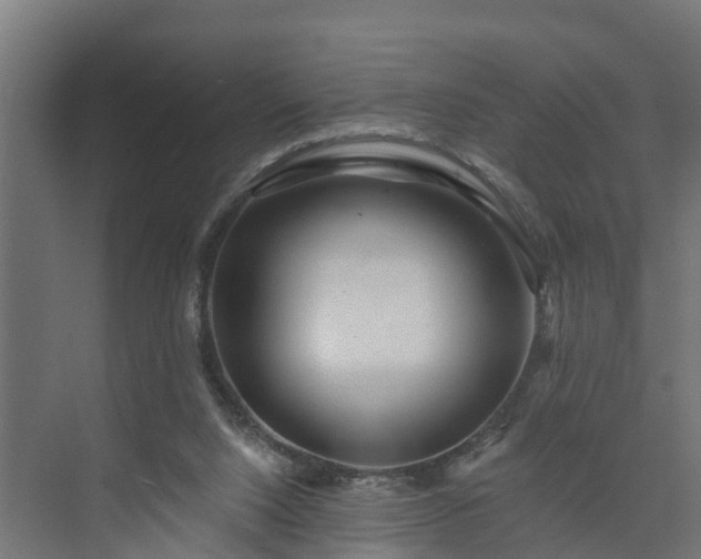 X0000074010064200608281416