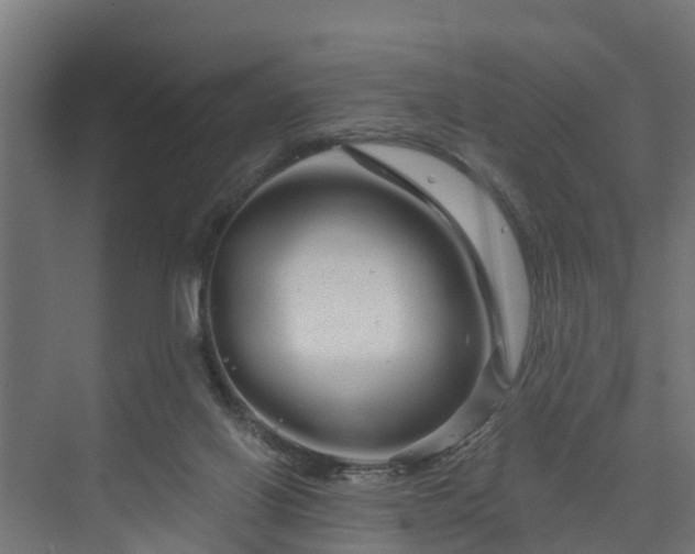 X0000074010070200608281416