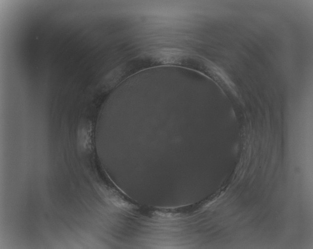 X0000074010073200608281416