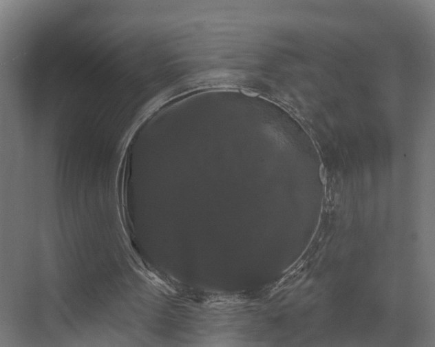 X0000074010099200608281416