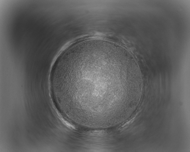 X0000074010102200608281416