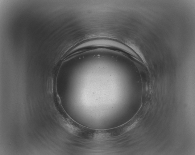 X0000074010109200608281416