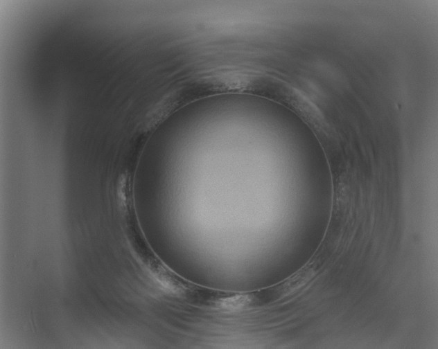 X0000074010122200608281416