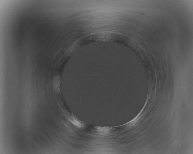 X0000074010144200608281415