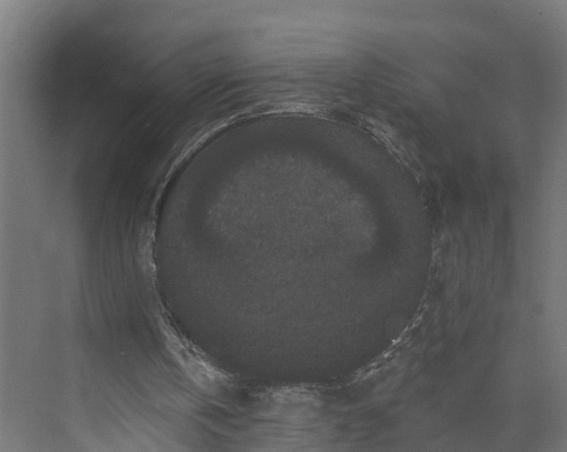 X0000074010146200608281414