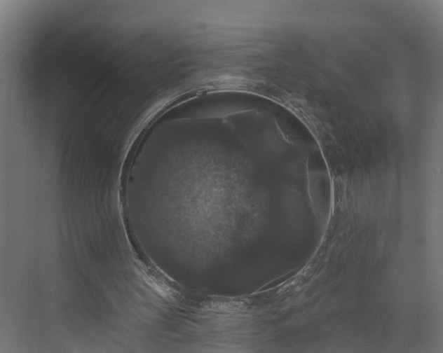 X0000074010147200608281414