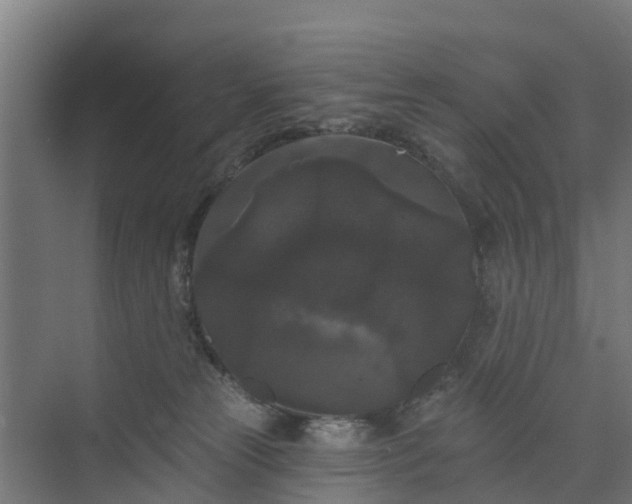 X0000074010181200608281415