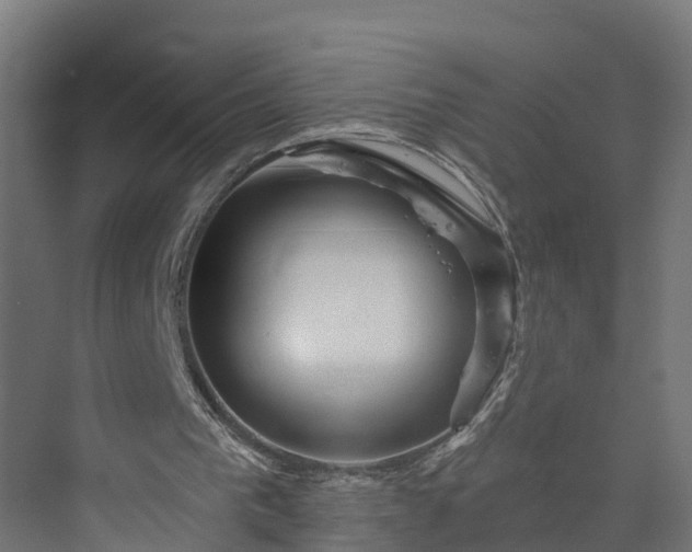 X0000074010193200608281414