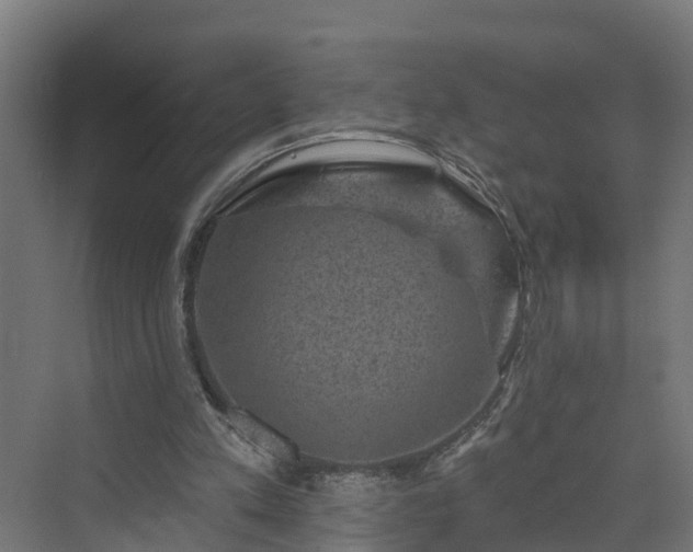 X0000074010197200608281414