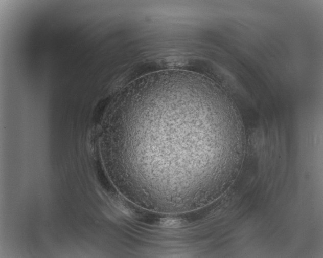 X0000074010218200608281414