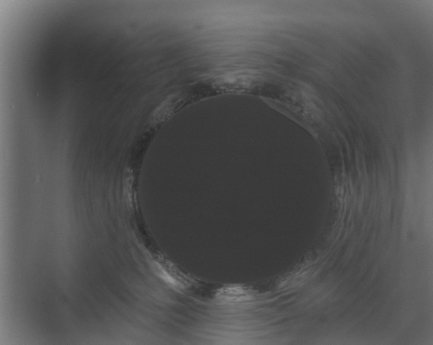X0000074010231200608281414
