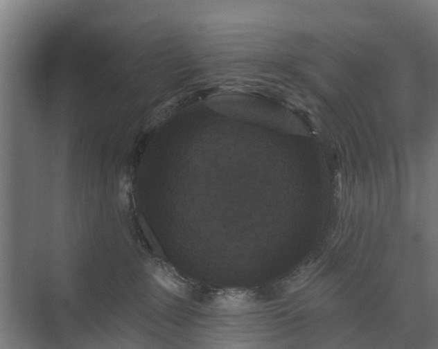 X0000074010235200608281414