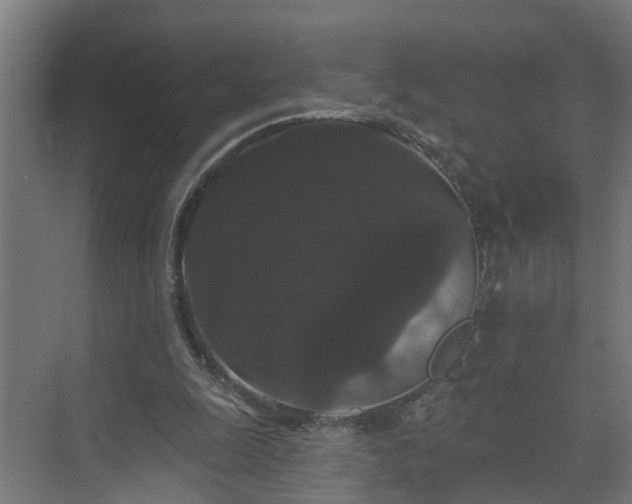 X0000074010247200608281413