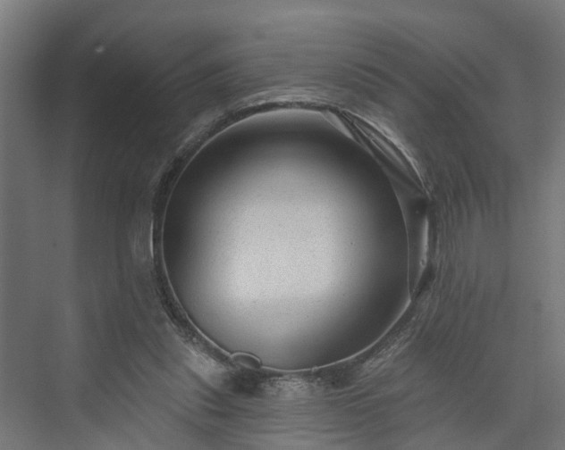 X0000074010253200608281413