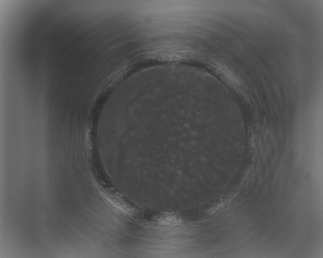 X0000074010258200608281413
