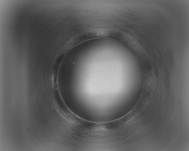 X0000074010262200608281413