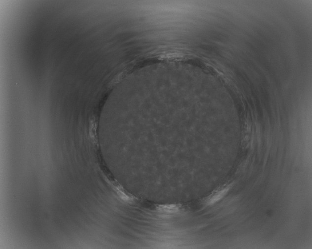 X0000074010281200608281413
