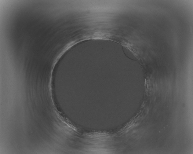 X0000074010292200608281413