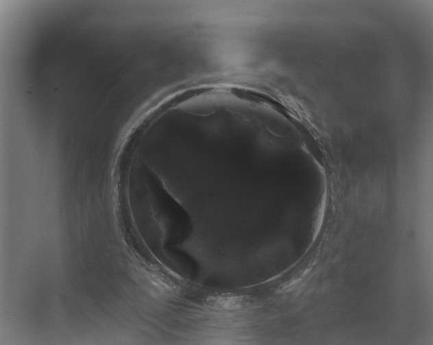 X0000074010295200608281413