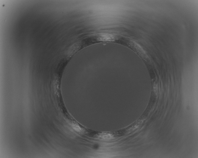 X0000074010322200608281412