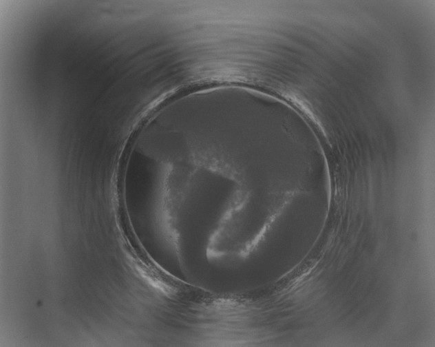 X0000074010390200608281411