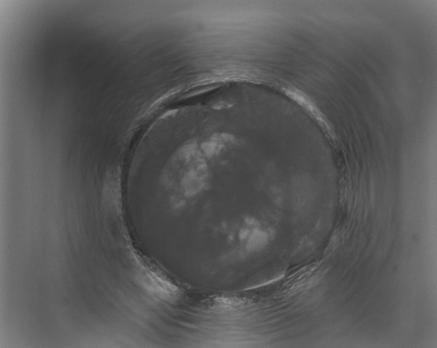 X0000074010442200608281410
