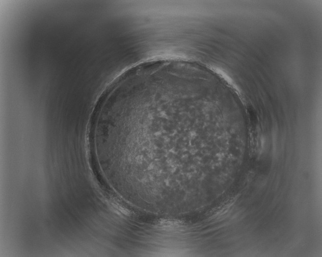X0000074010487200608281409