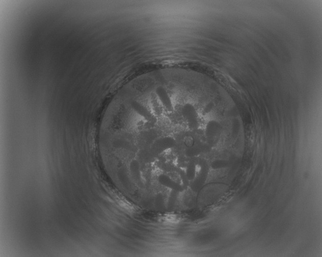X0000074010565200608281408