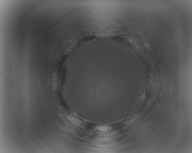 X0000074010659200608281407