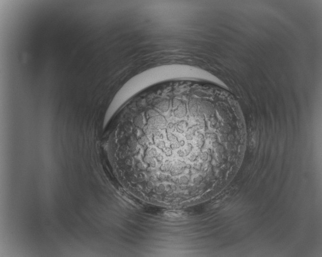 X0000074010666200608281407