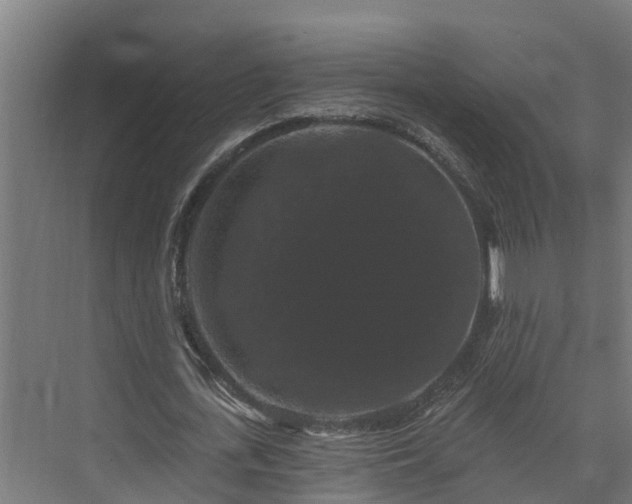 X0000074010723200608281405
