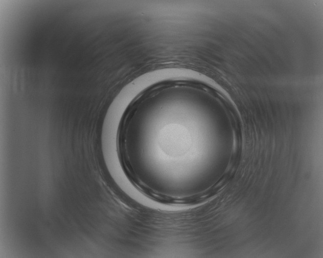 X0000074010764200608281405