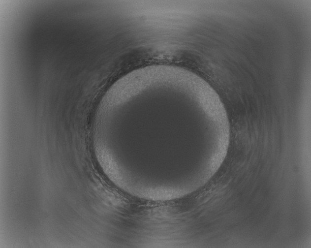 X0000074010769200608281405
