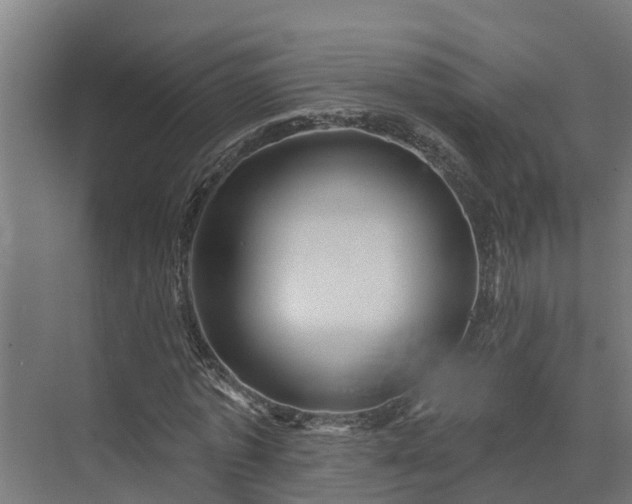 X0000074010773200608281405