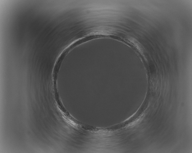 X0000074010779200608281404