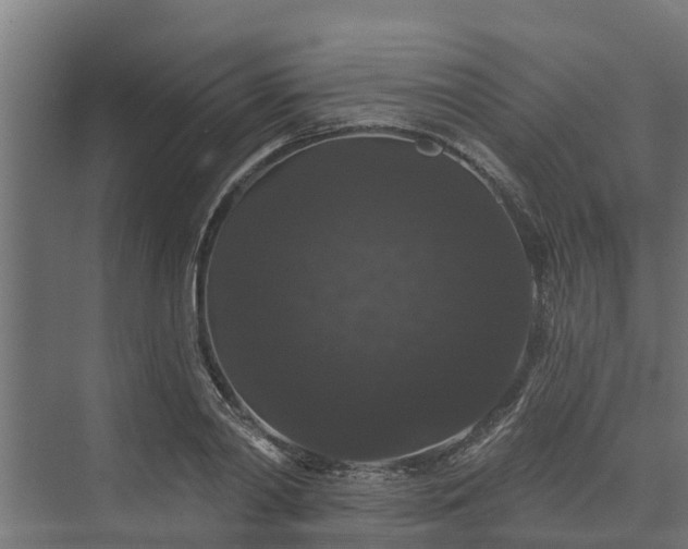 X0000074010790200608281404