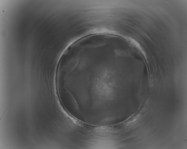 X0000074010863200608281404