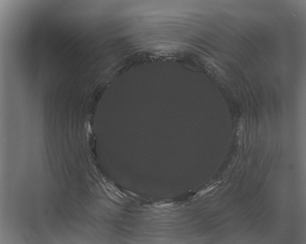X0000074010868200608281403