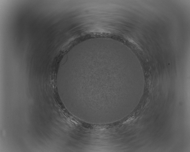 X0000074010870200608281403