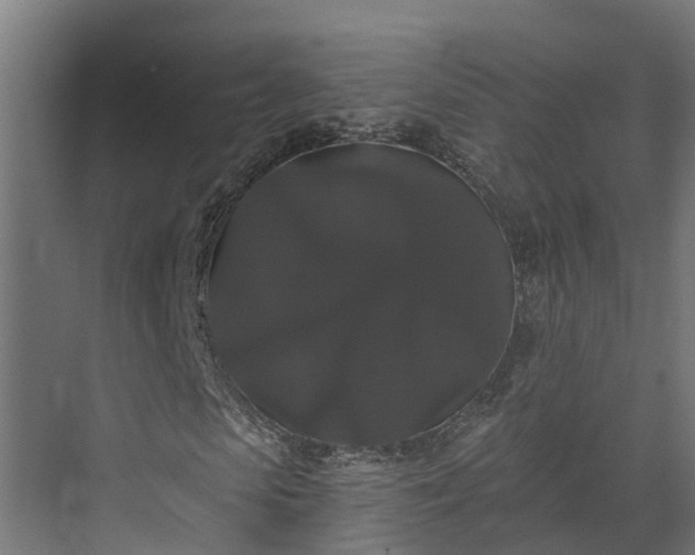 X0000074010913200608281401