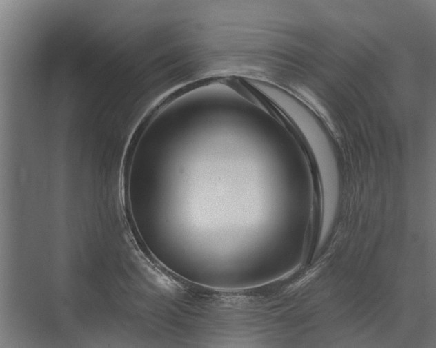 X0000074010940200608281402