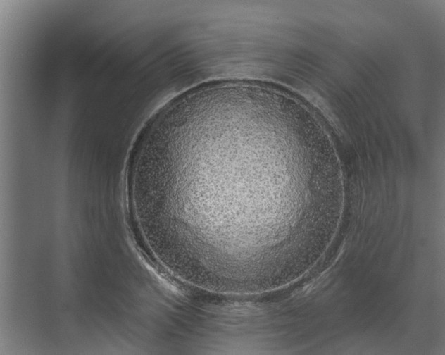 X0000074010982200608281401