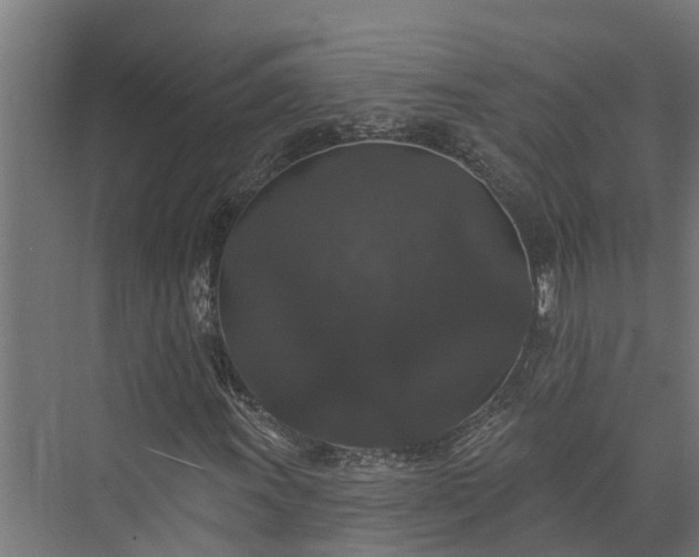 X0000074011011200608281400