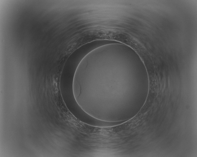 X0000074011013200608281400