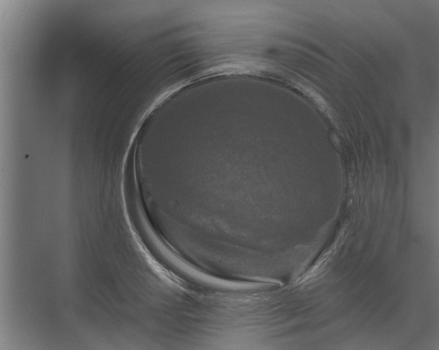 X0000074011034200608281400