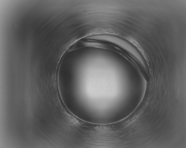 X0000074011089200608281359